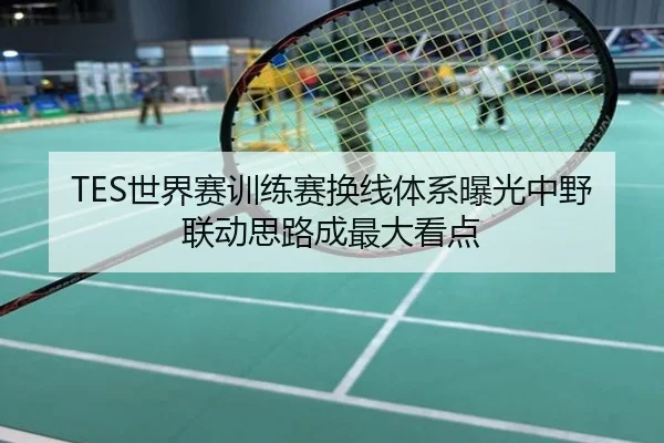 TES世界赛训练赛换线体系曝光中野联动思路成最大看点